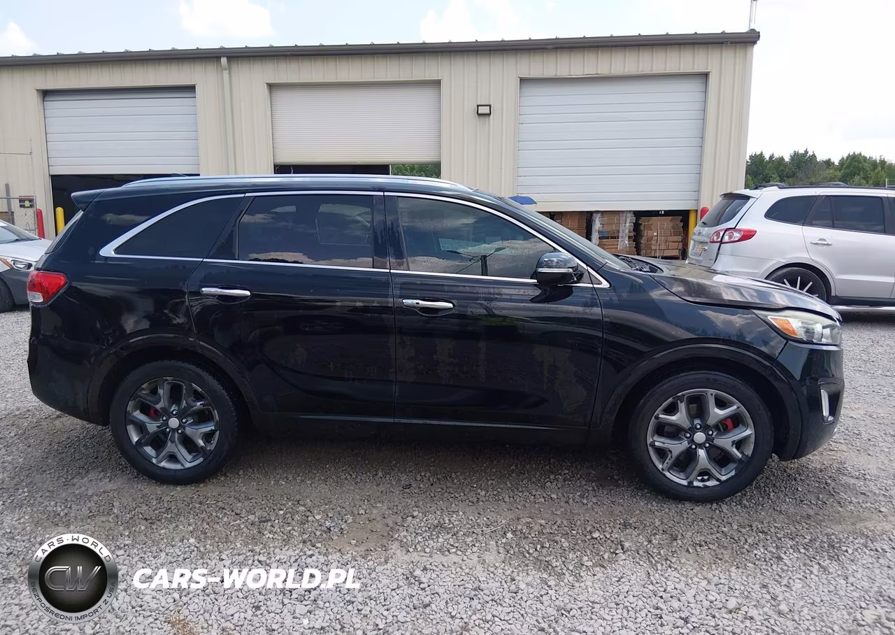 2017 Kia Sorento 3.3L Sx VIN:5XYPK4A5XHG263211 - 13