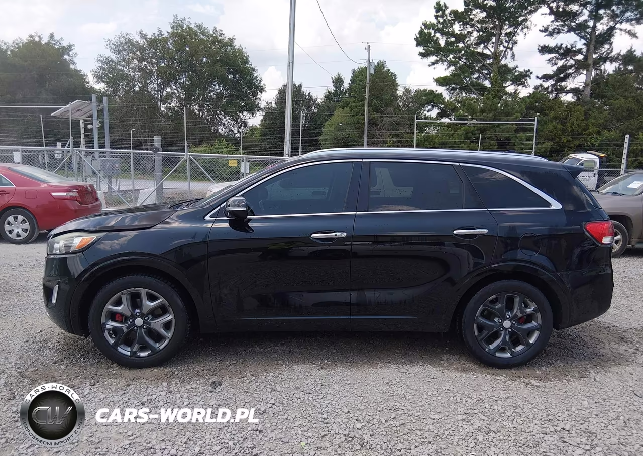 2017 Kia Sorento 3.3L Sx VIN:5XYPK4A5XHG263211 - 14