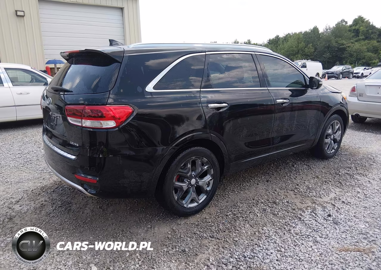 2017 Kia Sorento 3.3L Sx VIN:5XYPK4A5XHG263211 - 4
