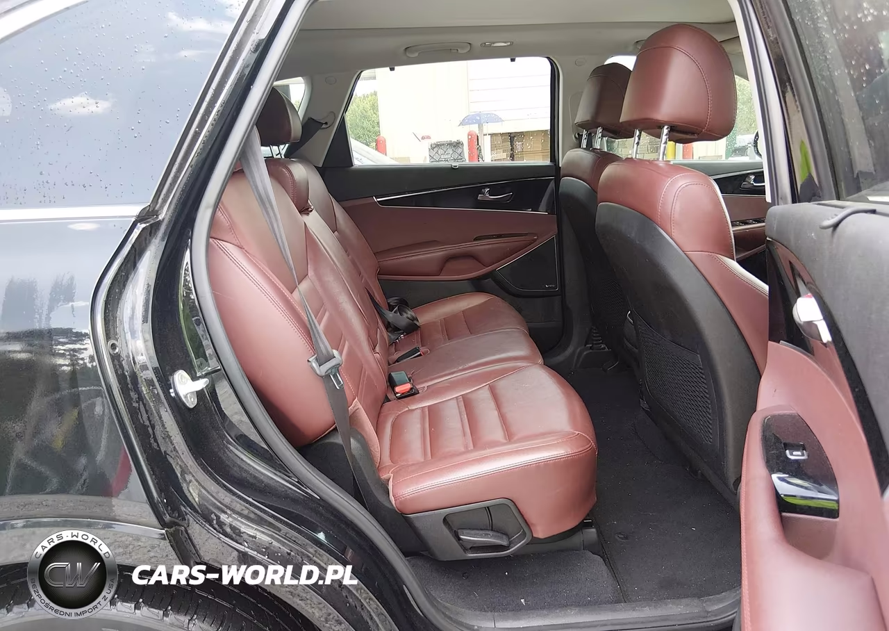 2017 Kia Sorento 3.3L Sx VIN:5XYPK4A5XHG263211 - 8