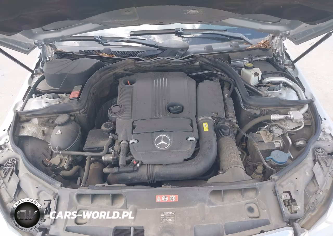 2012 Mercedes-Benz C 250 Luxury VIN:WDDGF4HB8CA597798 - 10