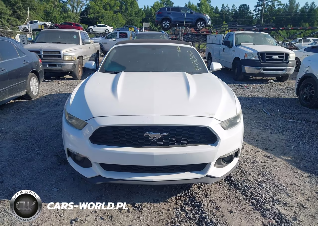 2016 Ford Mustang Ecoboost Premium VIN:1FATP8UH2G5295659 - 12