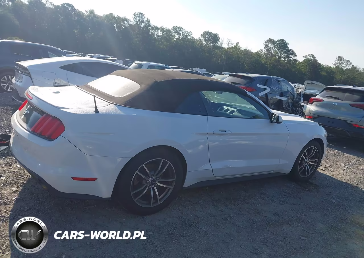 2016 Ford Mustang Ecoboost Premium VIN:1FATP8UH2G5295659 - 13