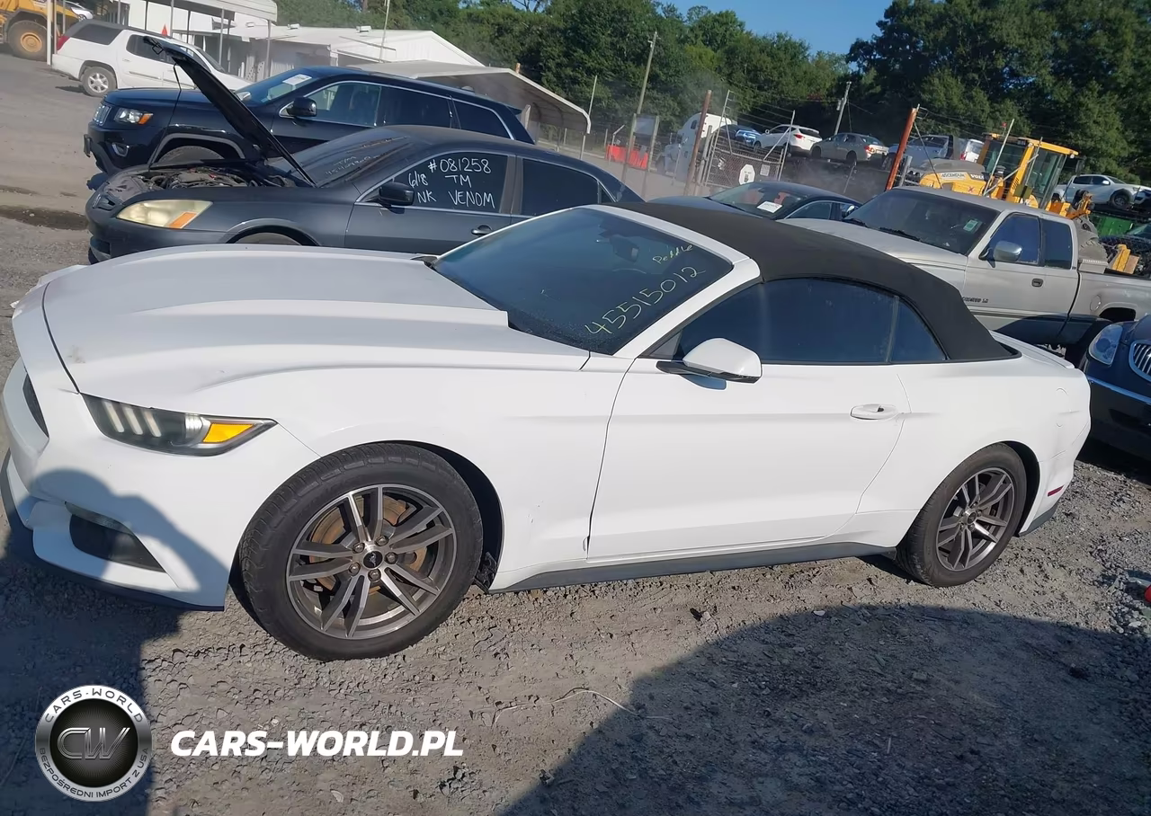 2016 Ford Mustang Ecoboost Premium VIN:1FATP8UH2G5295659 - 14