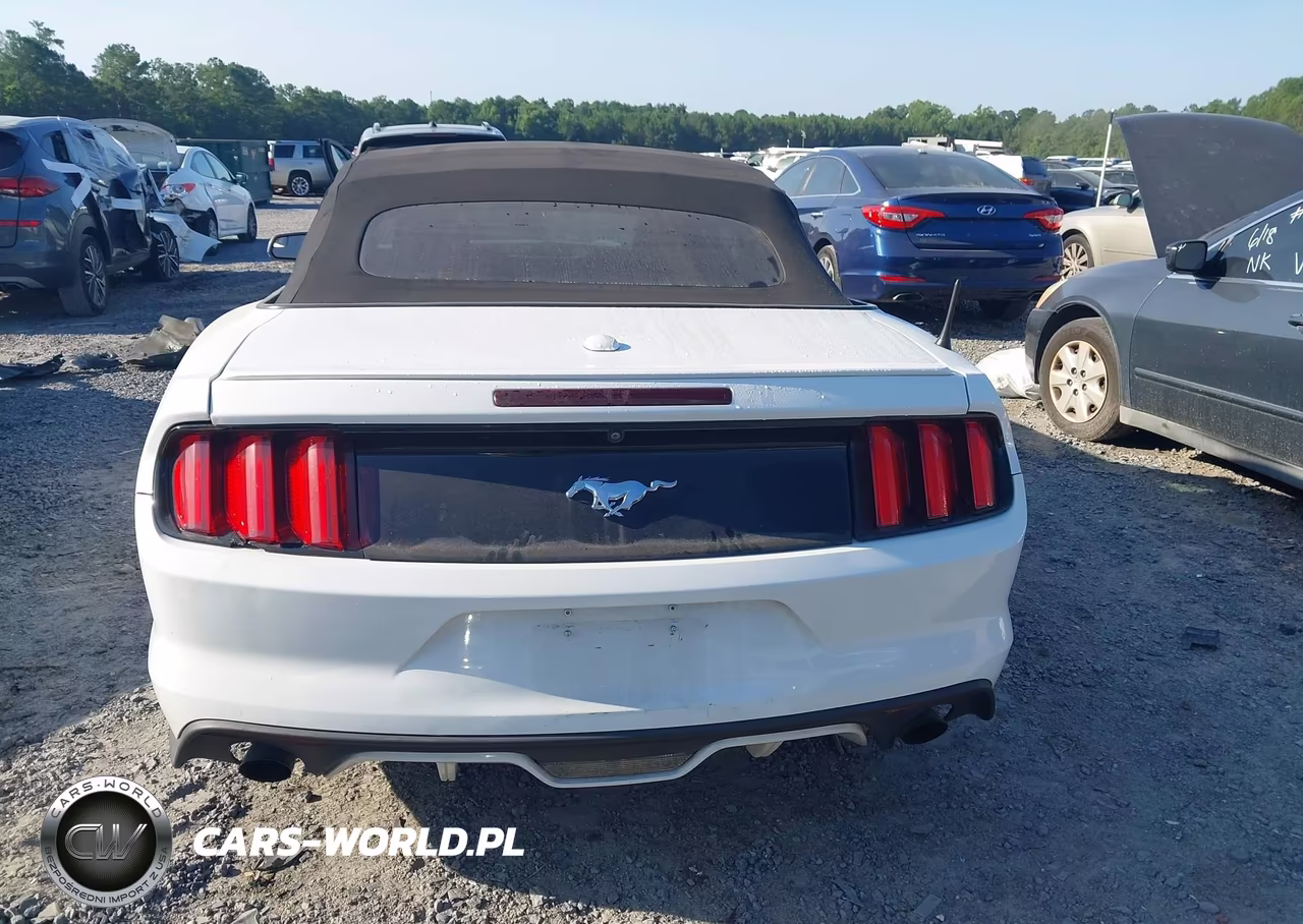 2016 Ford Mustang Ecoboost Premium VIN:1FATP8UH2G5295659 - 16