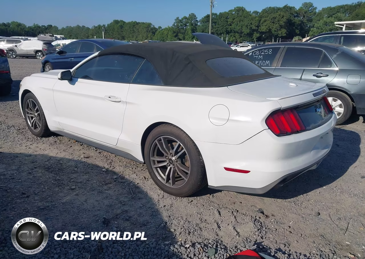 2016 Ford Mustang Ecoboost Premium VIN:1FATP8UH2G5295659 - 3