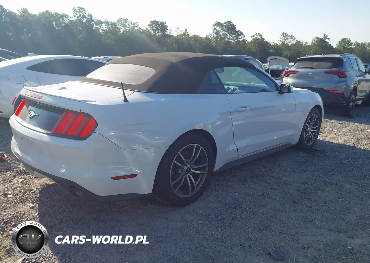 2016 Ford Mustang Ecoboost Premium VIN:1FATP8UH2G5295659 - 4