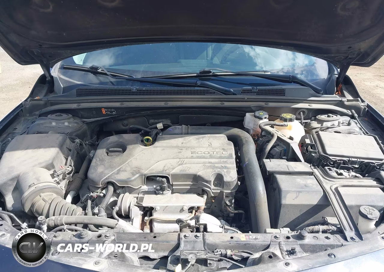 2023 Chevrolet Malibu Fwd 1Lt VIN:1G1ZD5ST4PF145672 - 10