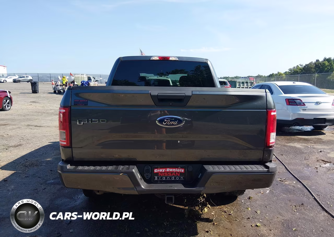 2017 Ford F-150 Lariat-Xl-Xlt VIN:1FTEW1CP1HFC80619 - 16