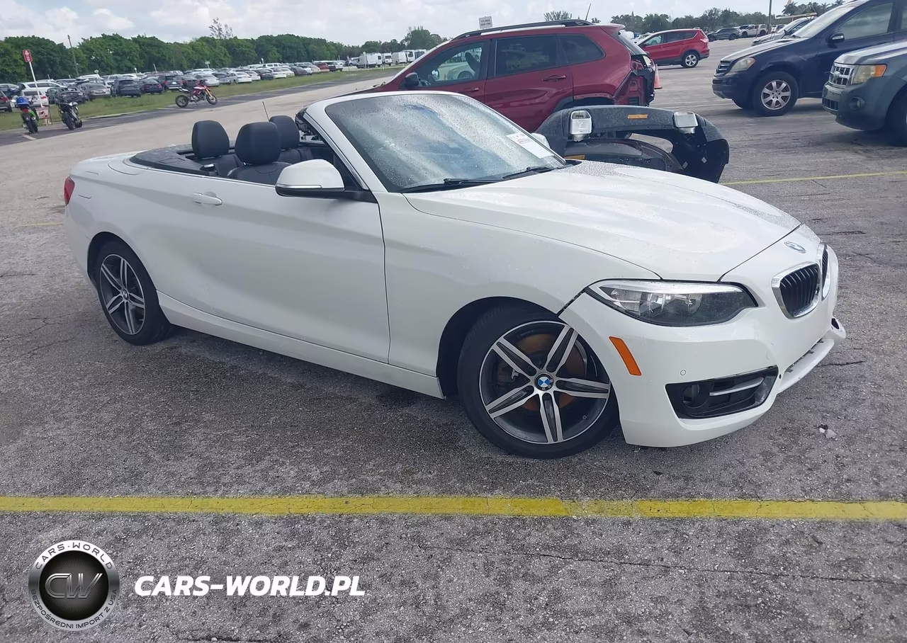 2017 BMW 230I