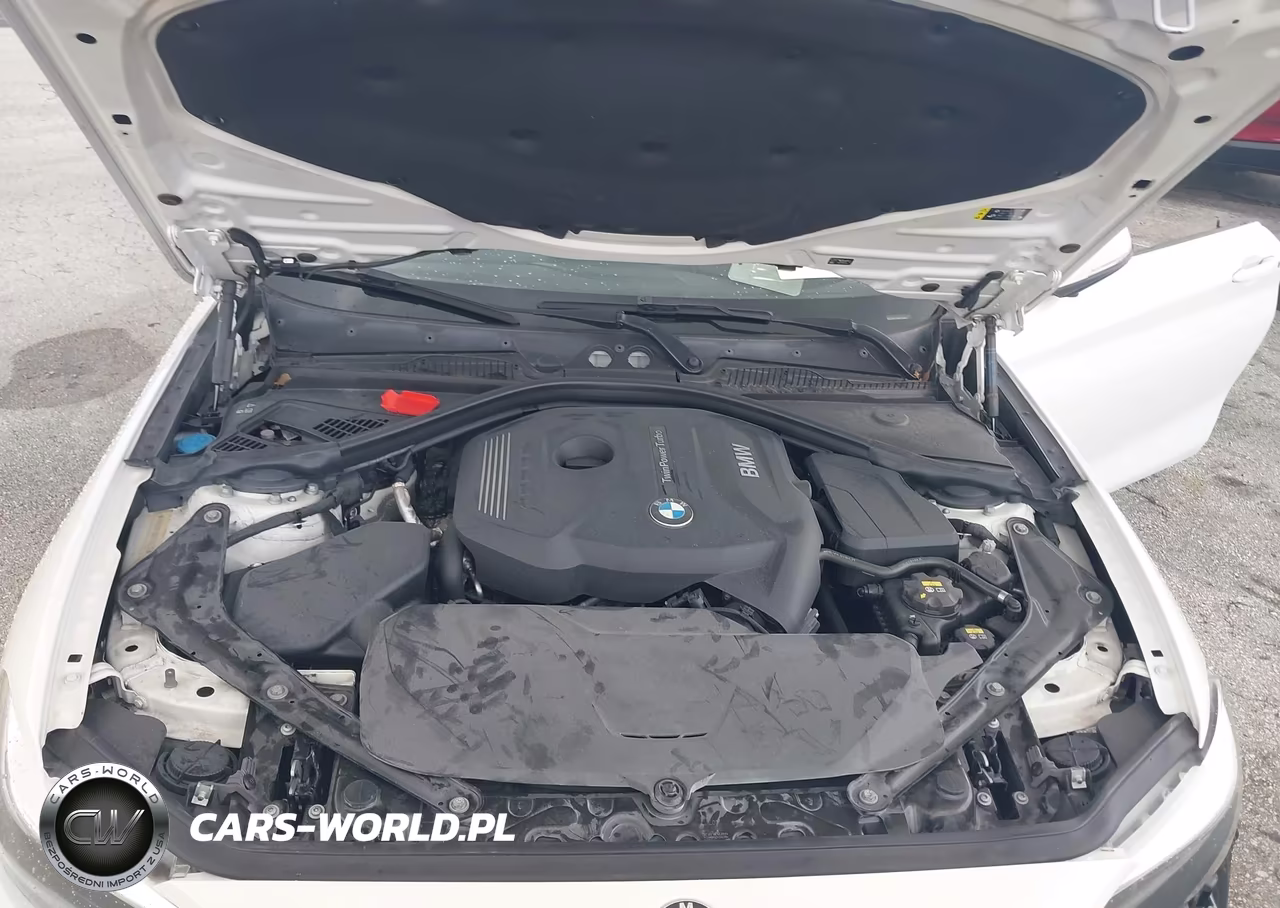 2017 BMW 230I VIN:WBA2K9C35H7A26237 - 10