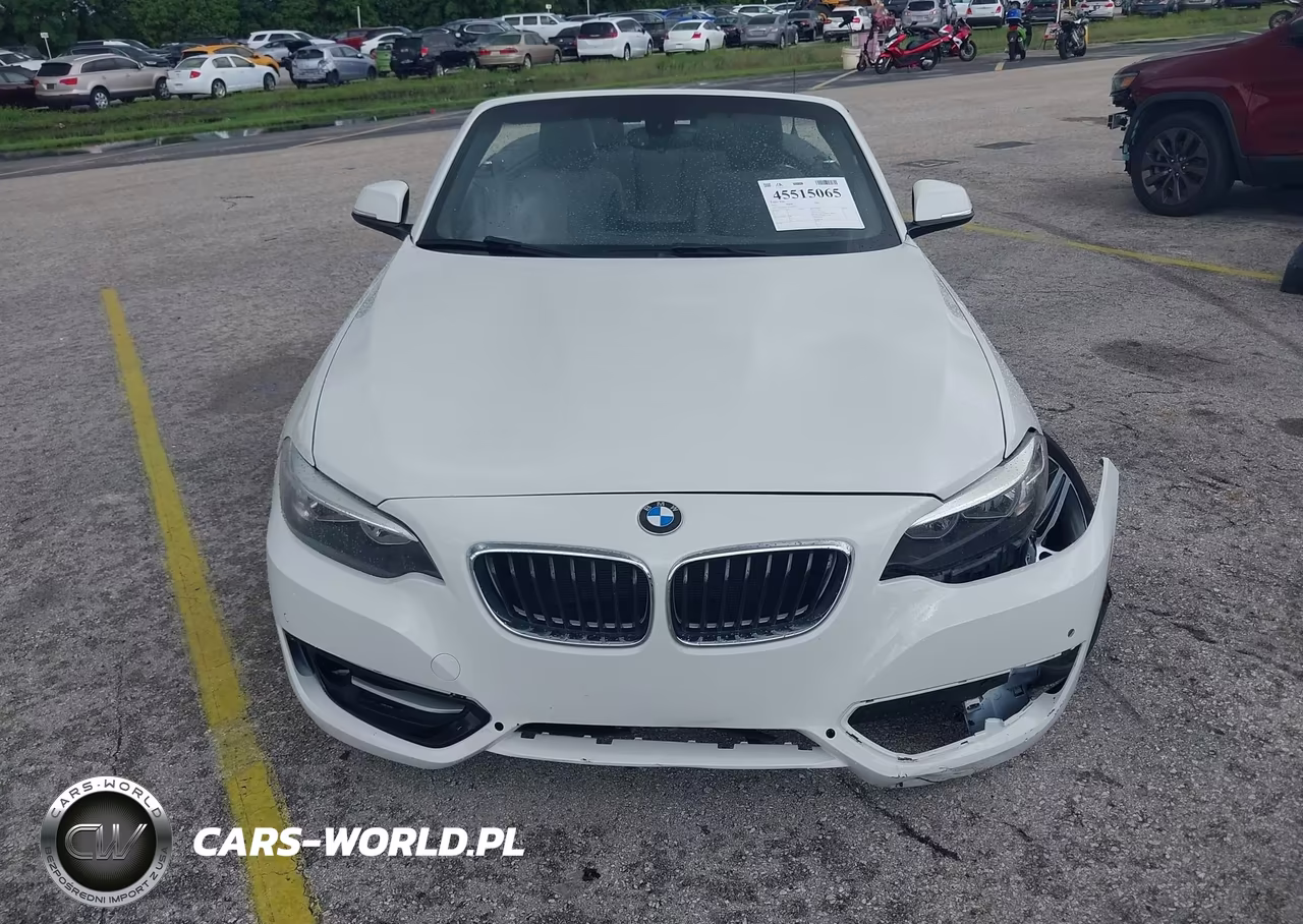 2017 BMW 230I VIN:WBA2K9C35H7A26237 - 12