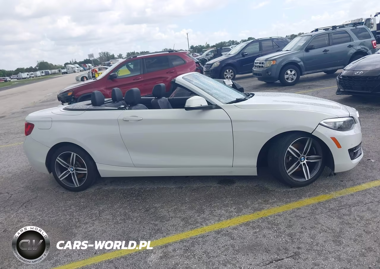 2017 BMW 230I VIN:WBA2K9C35H7A26237 - 13