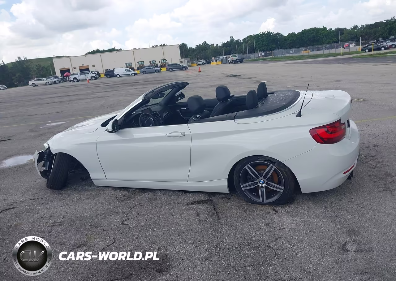 2017 BMW 230I VIN:WBA2K9C35H7A26237 - 14