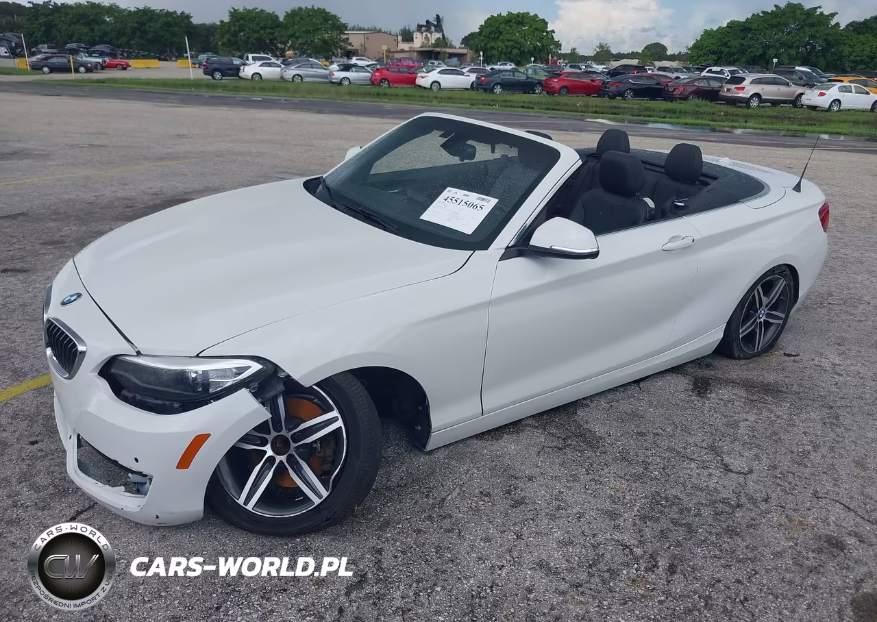 2017 BMW 230I VIN:WBA2K9C35H7A26237 - 2