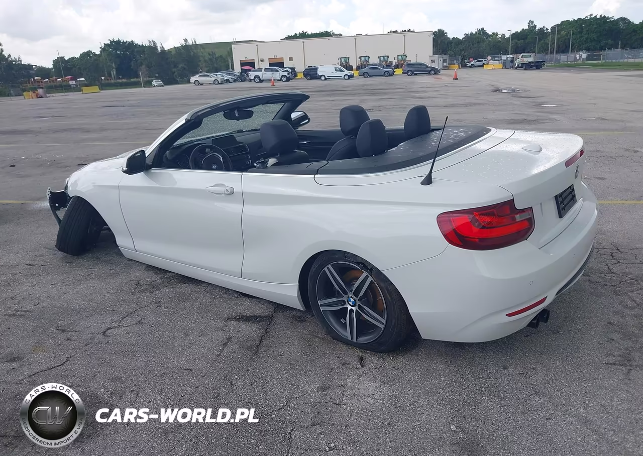 2017 BMW 230I VIN:WBA2K9C35H7A26237 - 3