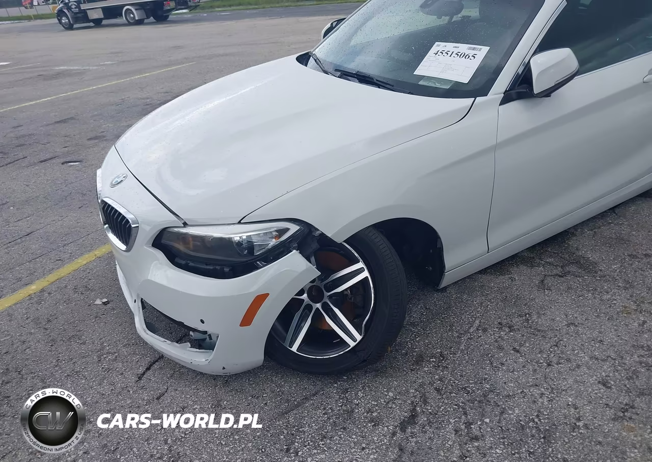 2017 BMW 230I VIN:WBA2K9C35H7A26237 - 6