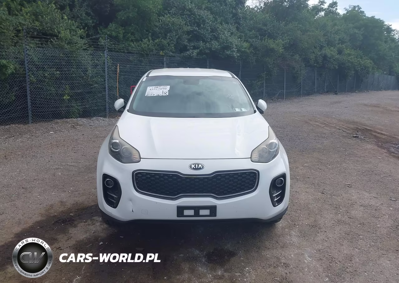 2017 Kia Sportage Lx VIN:KNDPMCAC5H7040039 - 11