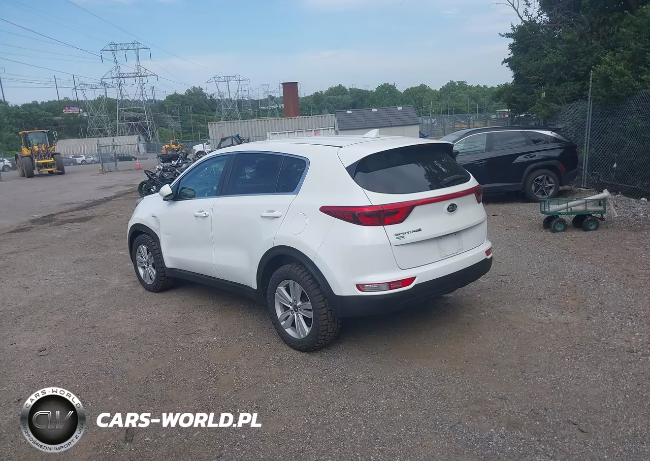 2017 Kia Sportage Lx VIN:KNDPMCAC5H7040039 - 3