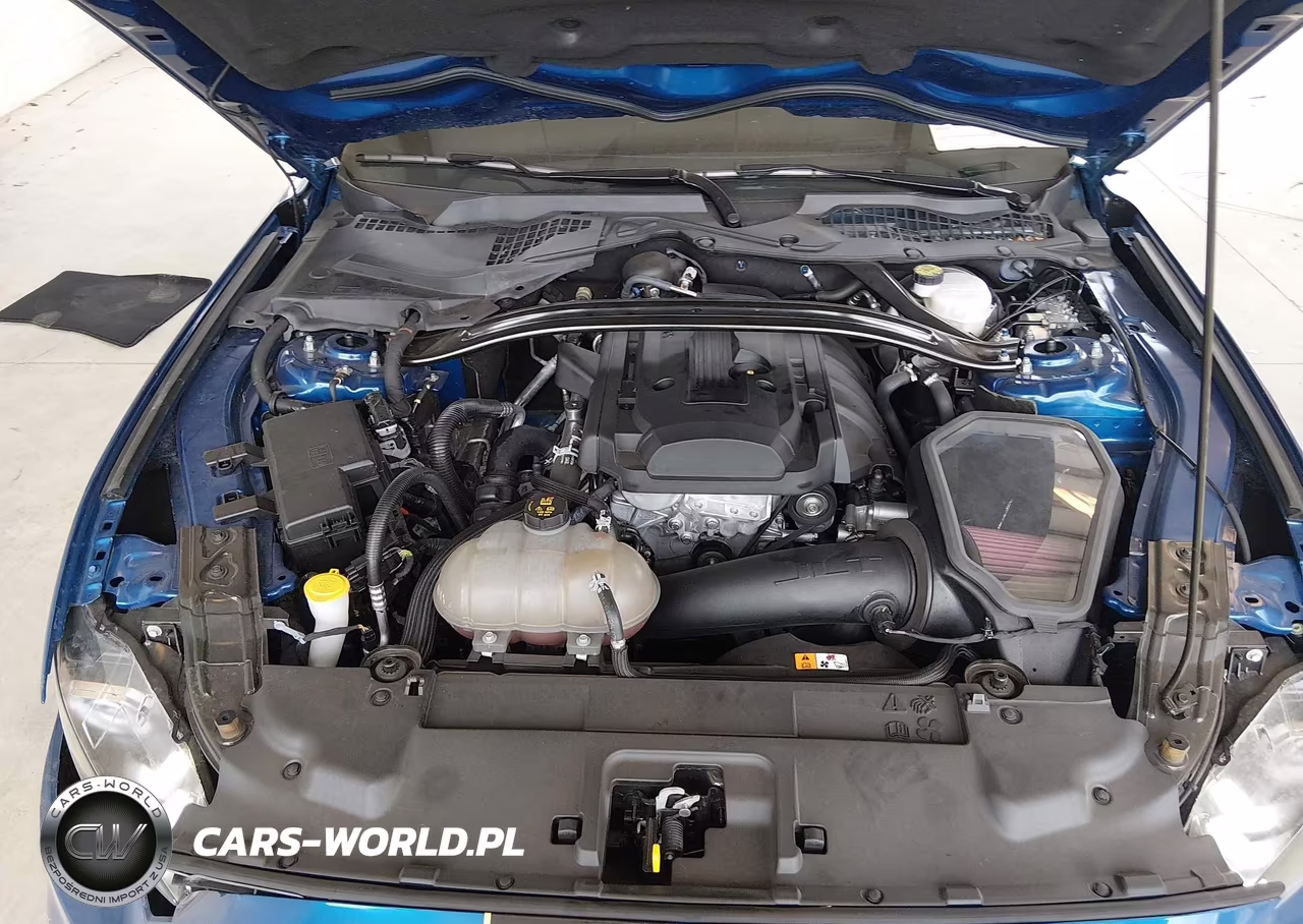 2018 Ford Mustang Ecoboost VIN:1FA6P8TH1J5117571 - 10
