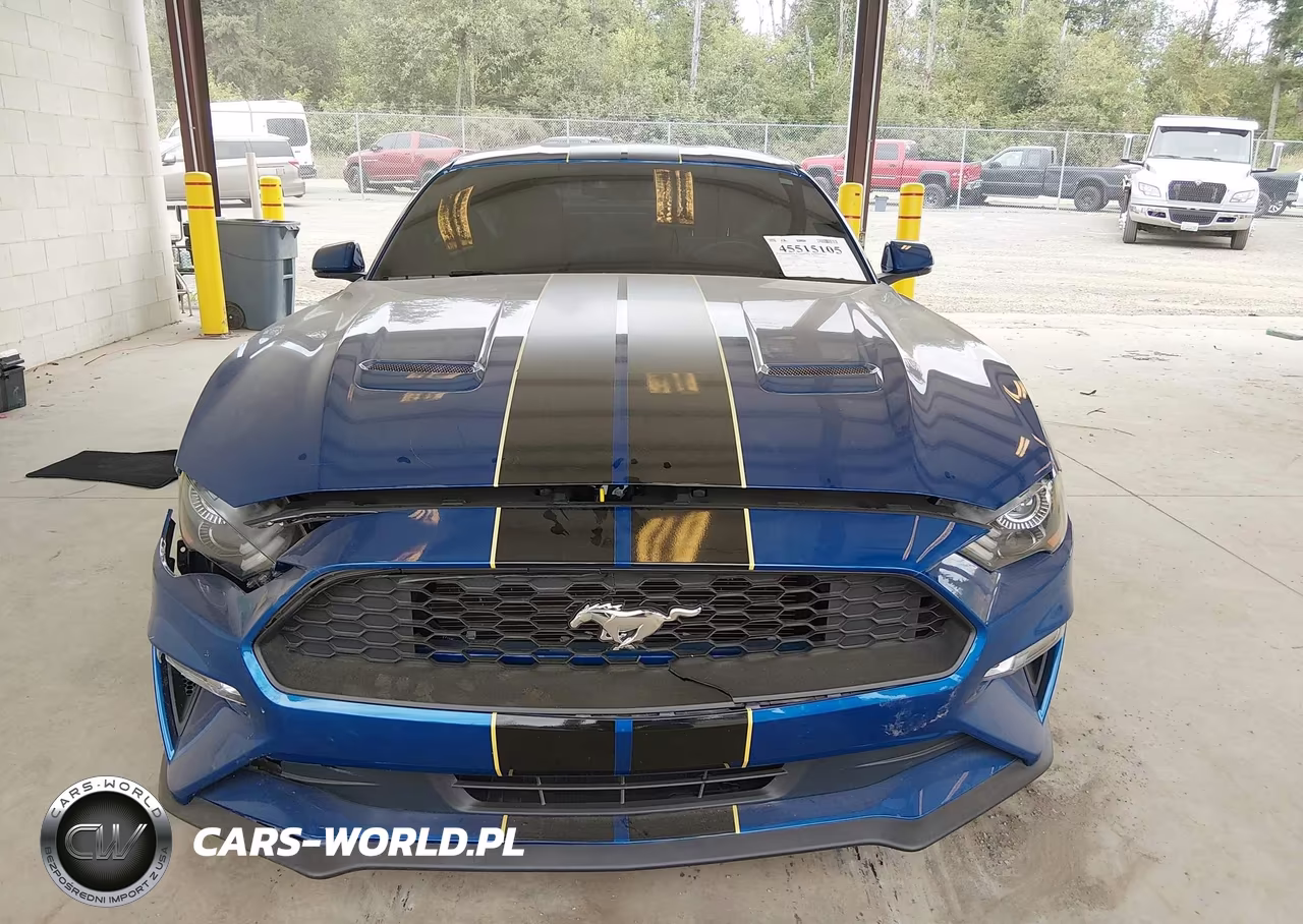 2018 Ford Mustang Ecoboost VIN:1FA6P8TH1J5117571 - 12