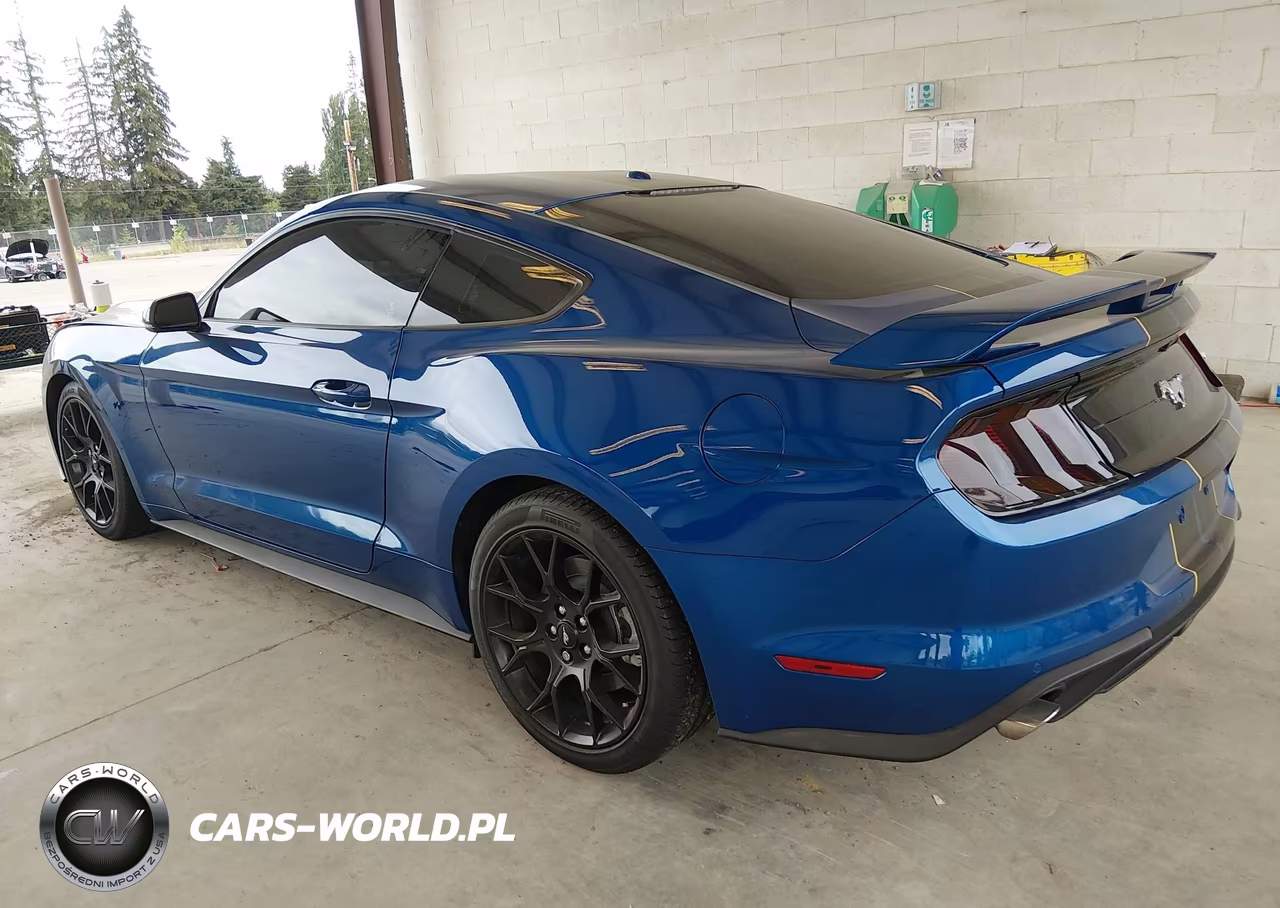2018 Ford Mustang Ecoboost VIN:1FA6P8TH1J5117571 - 3