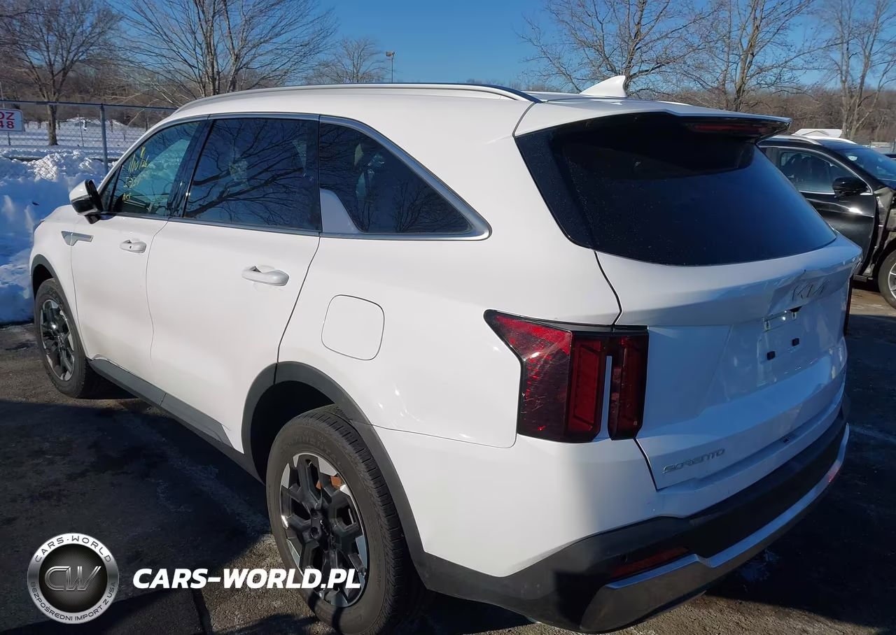 2024 Kia Sorento S VIN:5XYRLDJC3RG269910 - 3