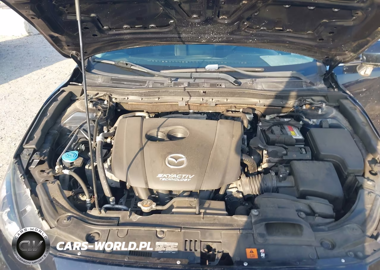 2016 Mazda Mazda3 I Sport VIN:JM1BM1U75G1348794 - 10