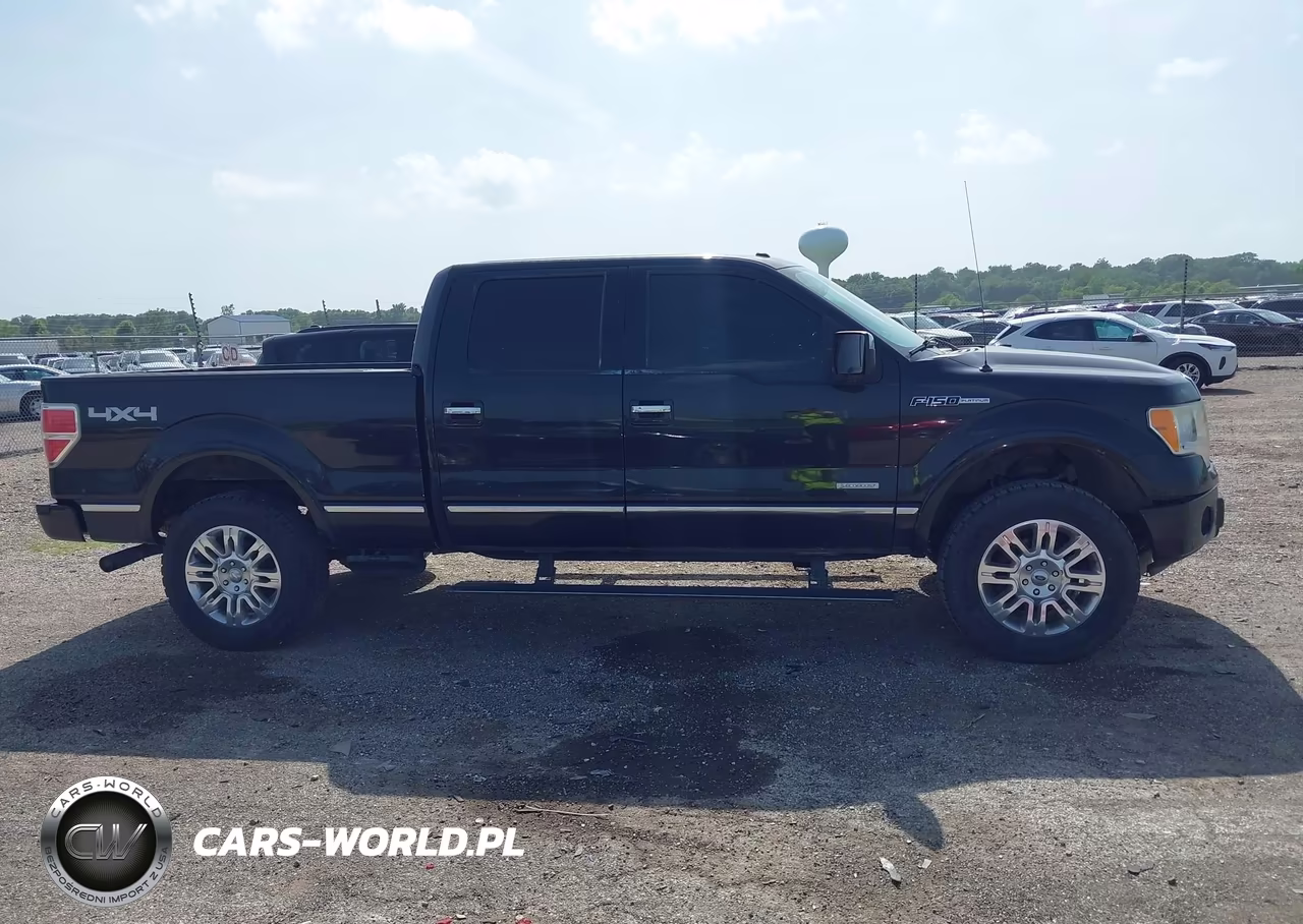 2012 Ford F-150 Platinum VIN:1FTFW1ET9CFA43352 - 13