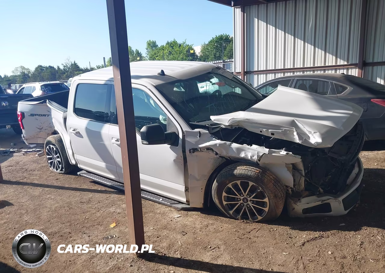 2019 Ford F-150 Xlt VIN:1FTEW1CP2KKE33541 - 14
