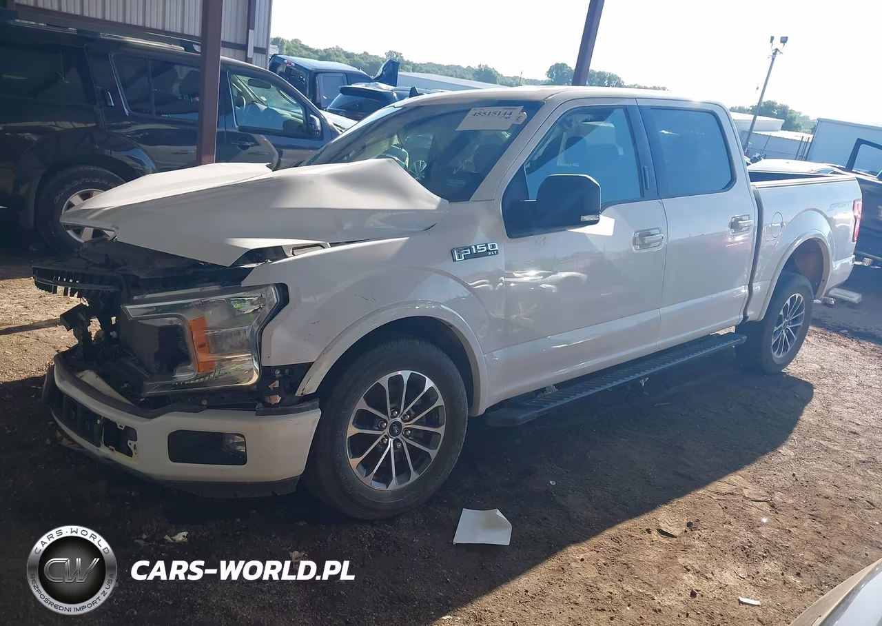 2019 Ford F-150 Xlt VIN:1FTEW1CP2KKE33541 - 2