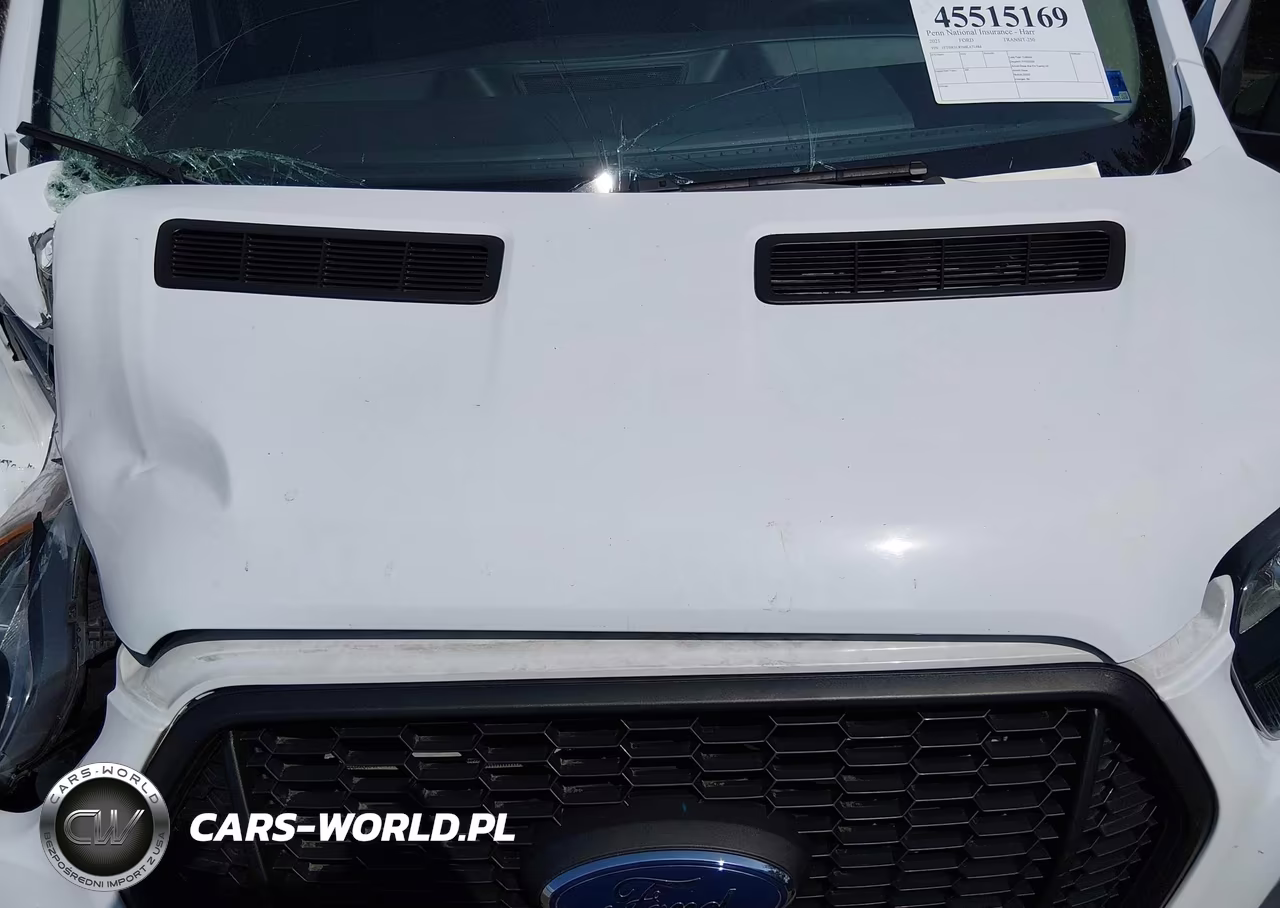 2021 Ford Transit-250 VIN:1FTBR1C85MKA71484 - 10