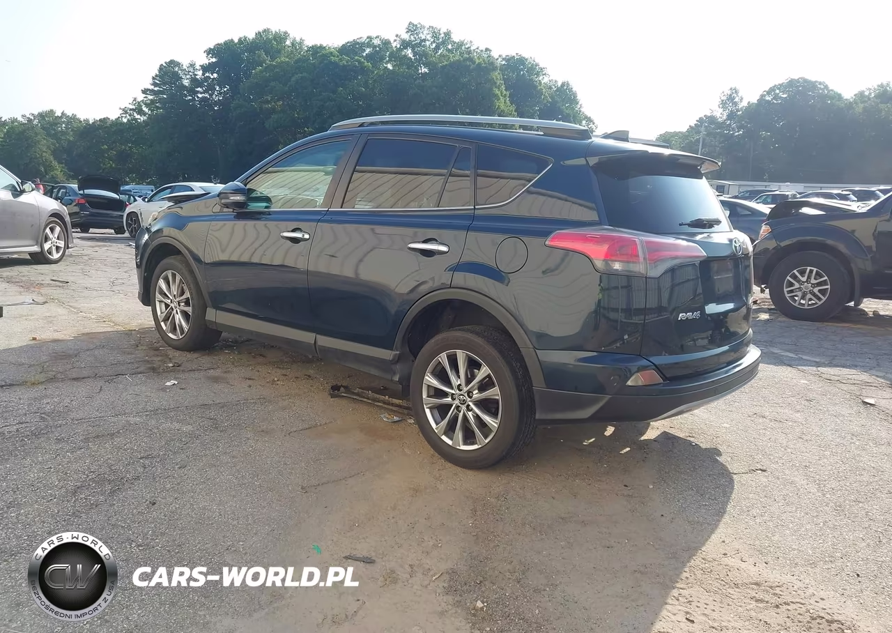 2017 Toyota Rav4 Limited VIN:2T3DFREV4HW549944 - 3