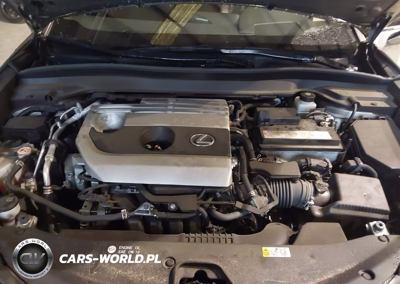 2020 Lexus Ux 200 VIN:JTHX3JBH2L2025052 - 10
