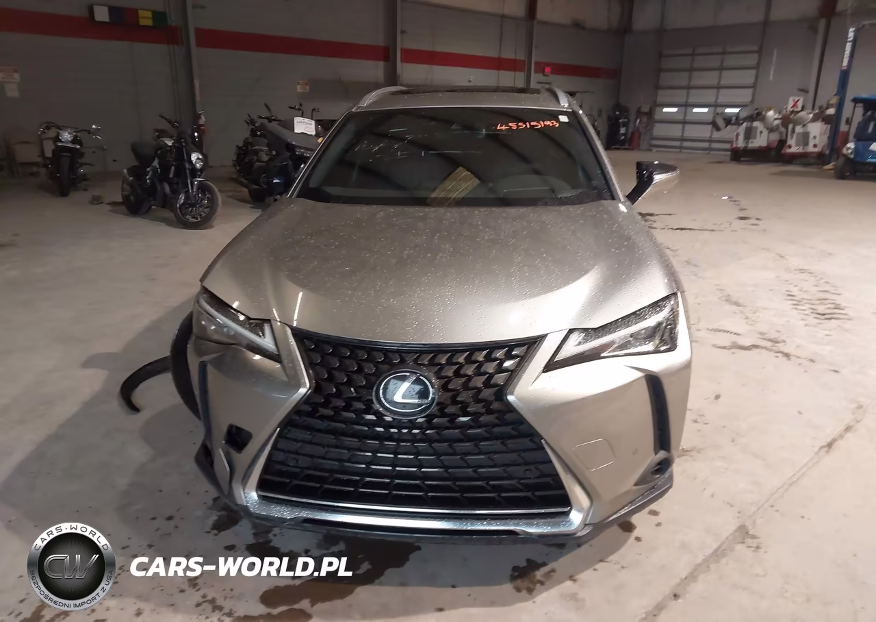 2020 Lexus Ux 200 VIN:JTHX3JBH2L2025052 - 12