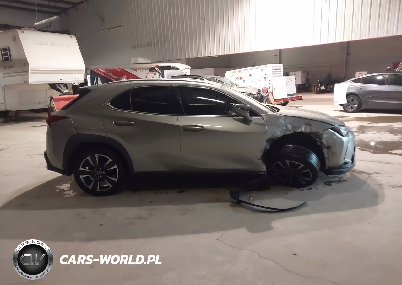 2020 Lexus Ux 200 VIN:JTHX3JBH2L2025052 - 13