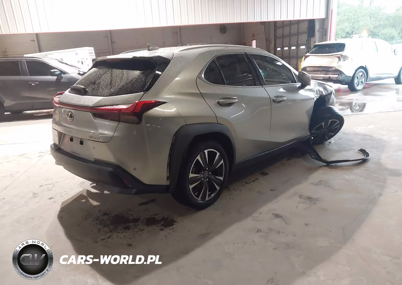 2020 Lexus Ux 200 VIN:JTHX3JBH2L2025052 - 4