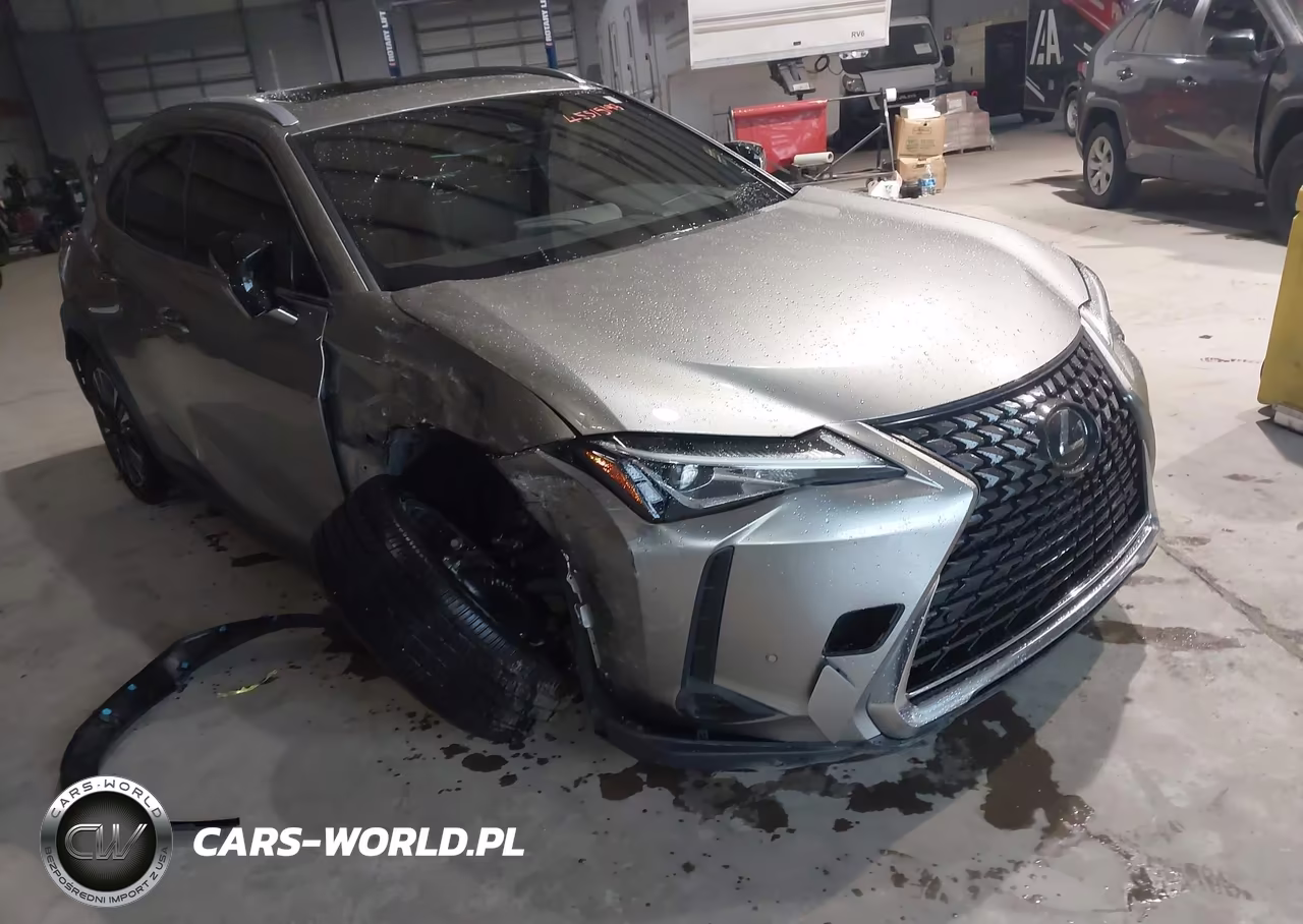 2020 Lexus Ux 200 VIN:JTHX3JBH2L2025052 - 6