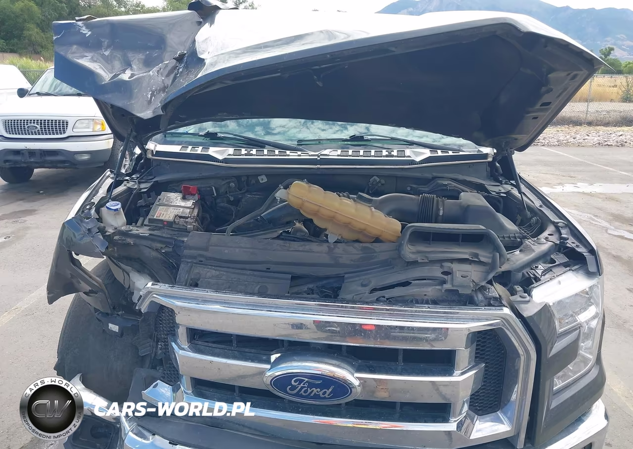 2017 Ford F-150 Lariat-Xl-Xlt VIN:1FTEW1EP1HKD00212 - 10