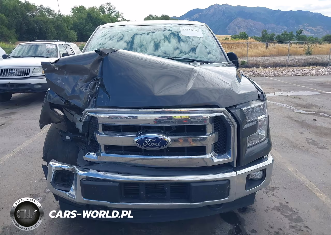 2017 Ford F-150 Lariat-Xl-Xlt VIN:1FTEW1EP1HKD00212 - 12
