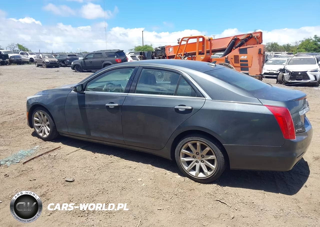 2014 Cadillac Cts Standard VIN:1G6AP5SX0E0158842 - 12