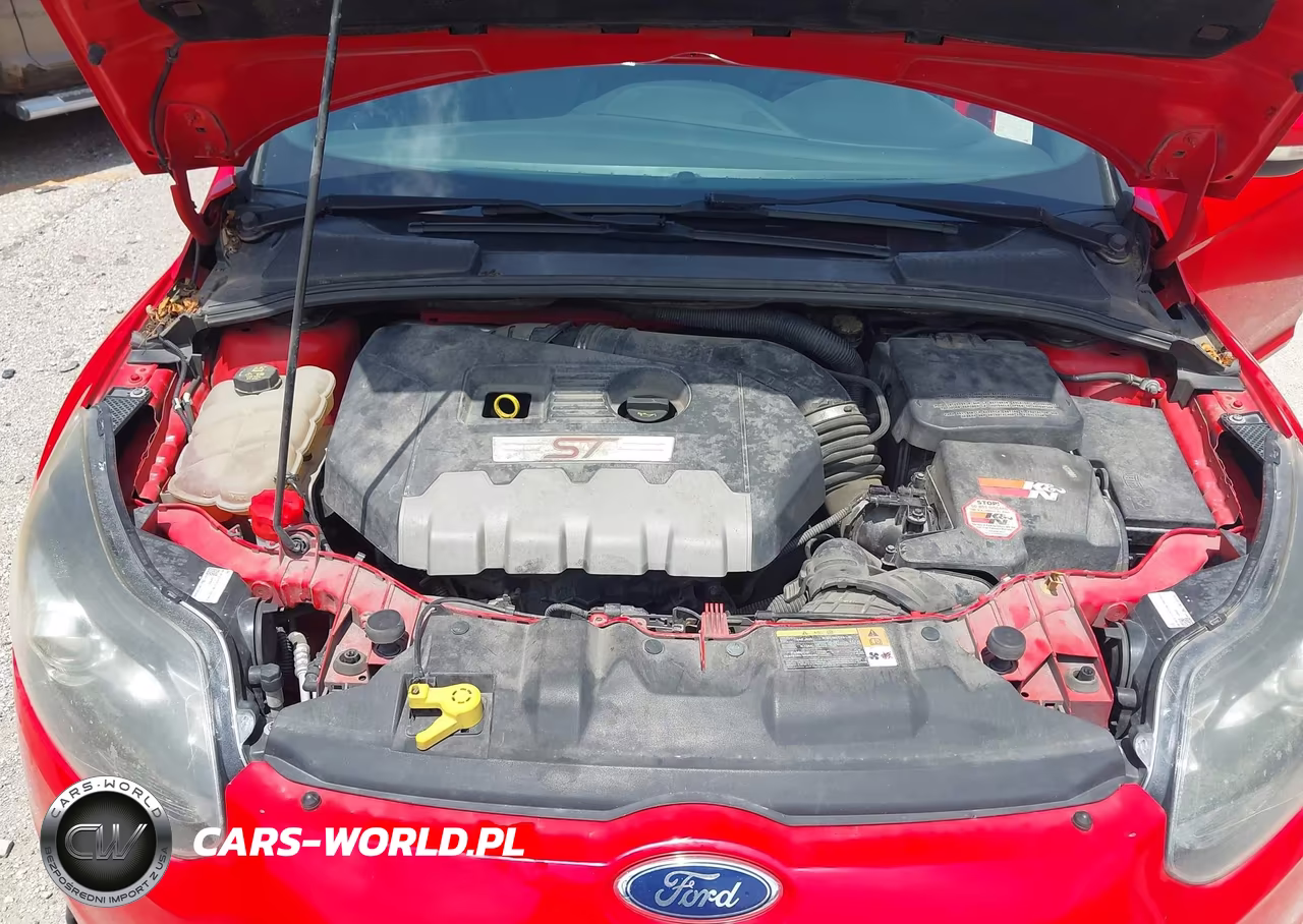 2014 Ford Focus St VIN:1FADP3L97EL184342 - 10