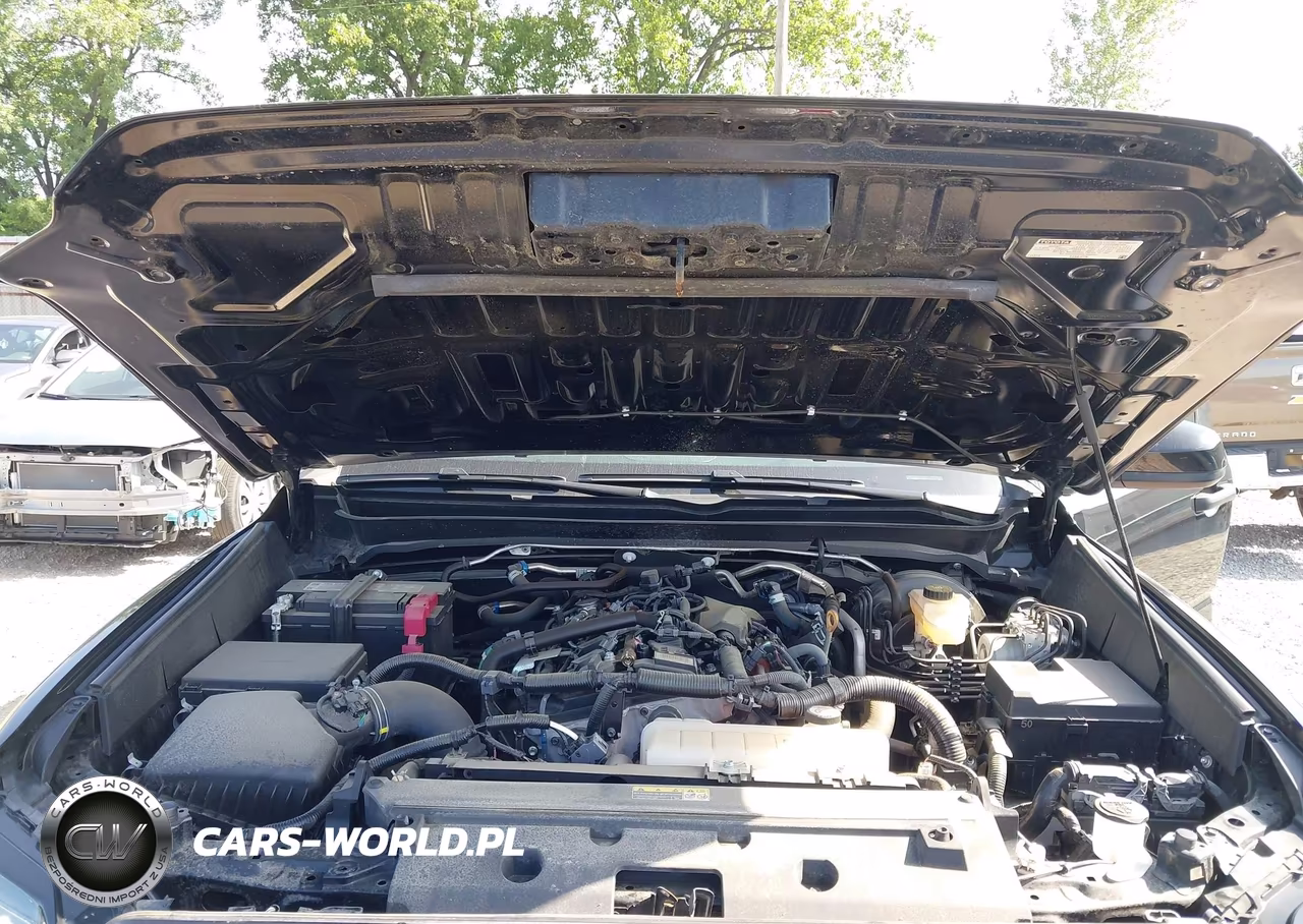 2024 Toyota Tacoma Trd Off Road VIN:3TMLB5JN5RM070926 - 10