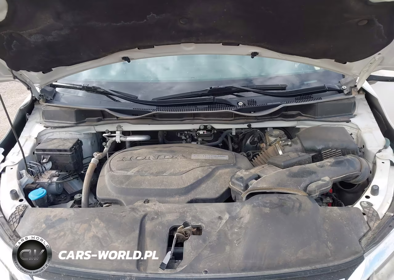 2019 Honda Odyssey Elite VIN:5FNRL6H98KB010204 - 10