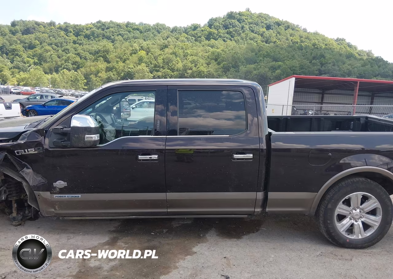 2018 Ford F-150 King Ranch VIN:1FTFW1E19JFE25568 - 15