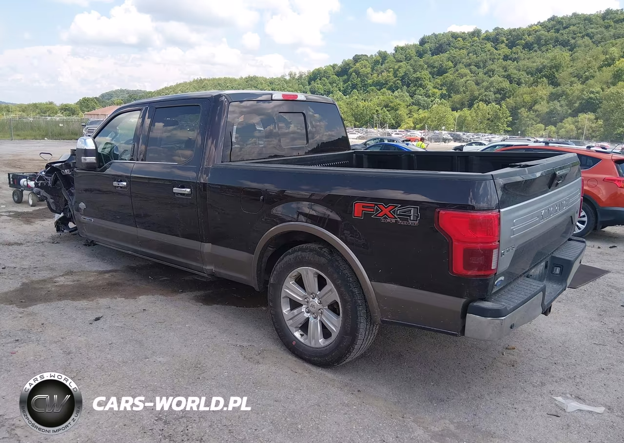 2018 Ford F-150 King Ranch VIN:1FTFW1E19JFE25568 - 3