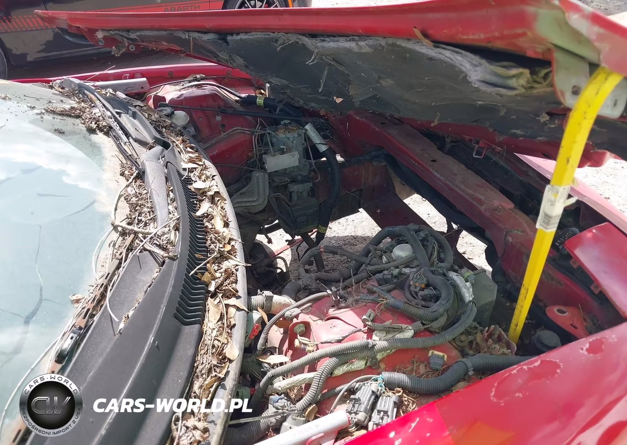1996 Pontiac Firebird Formula-Trans Am VIN:2G2FV22P4T2209637 - 10