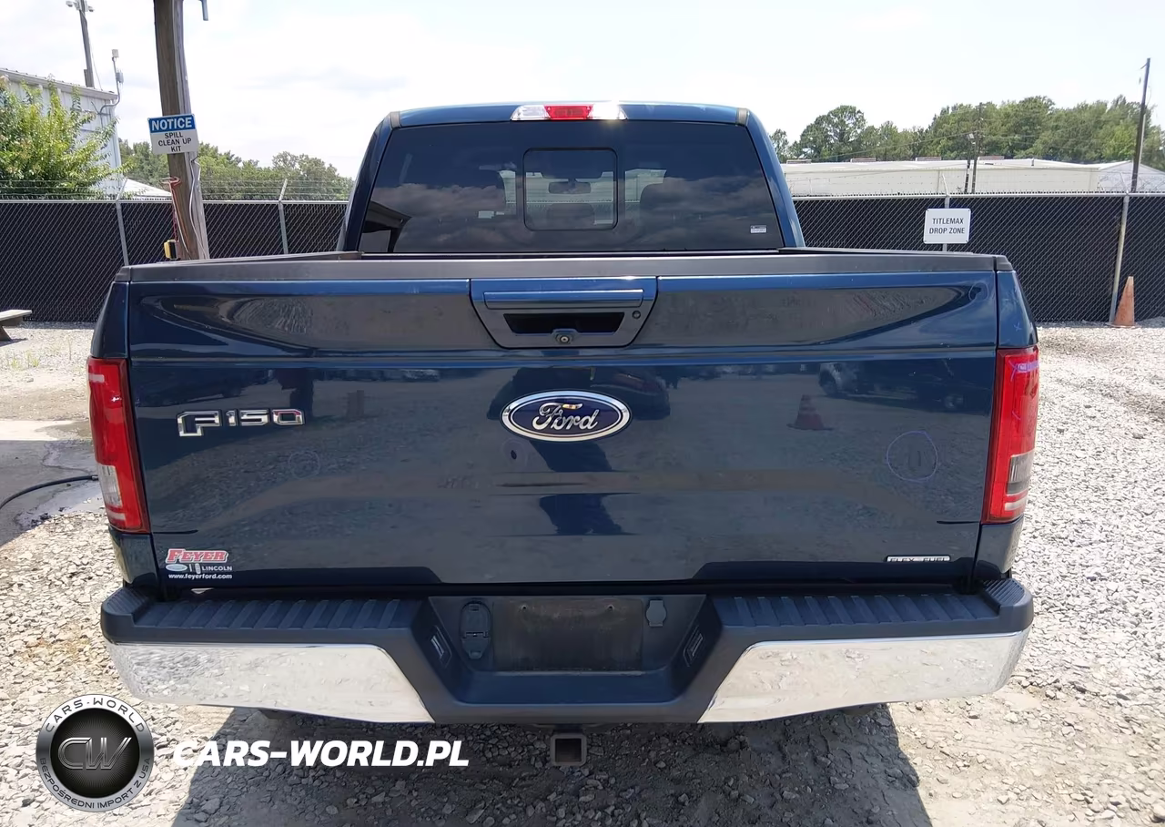 2016 Ford F-150 King Ranch-Lariat-Platinum-Xl-Xlt VIN:1FTEW1EF9GFC27699 - 17