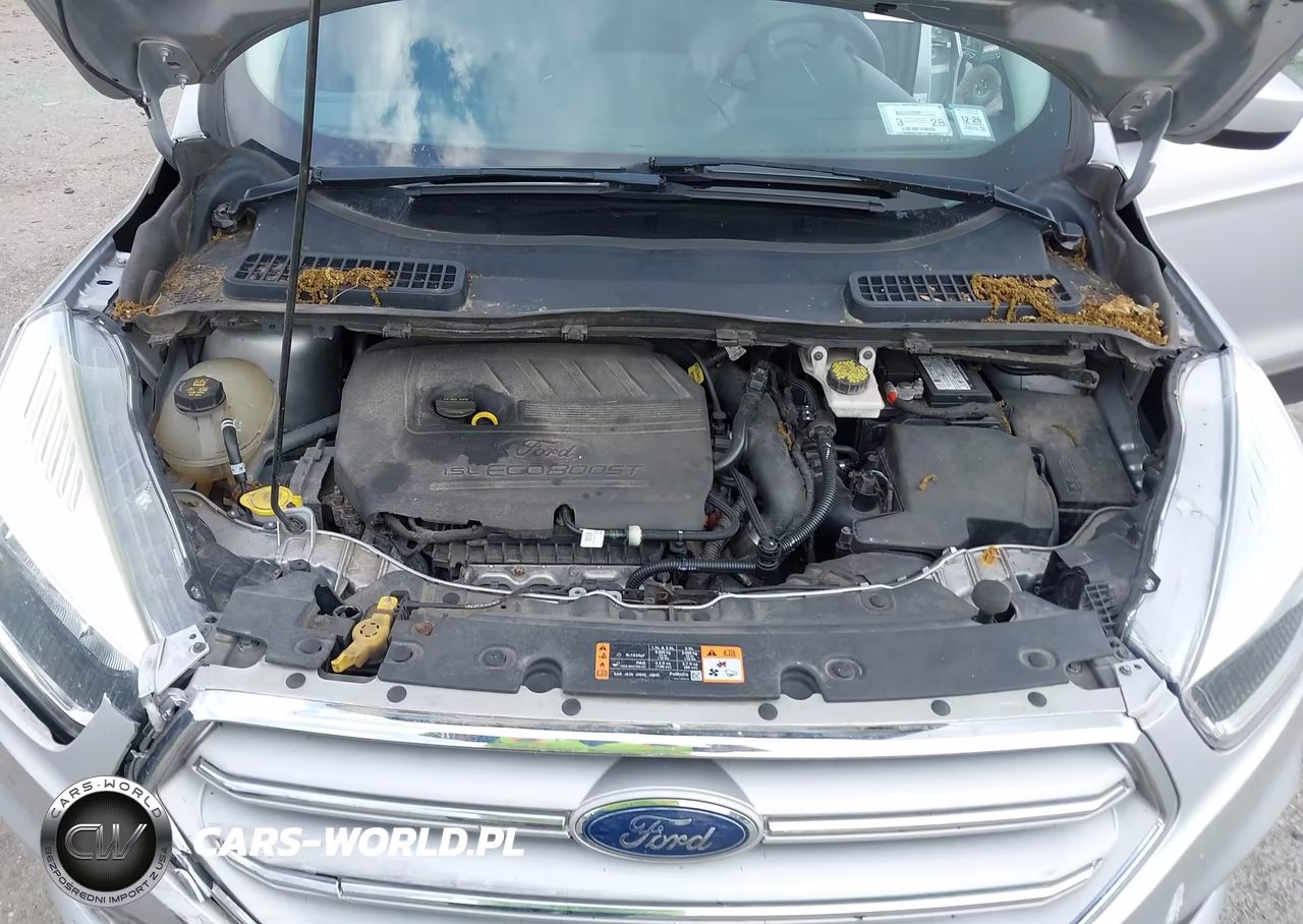 2018 Ford Escape Se VIN:1FMCU9GD5JUB69659 - 10
