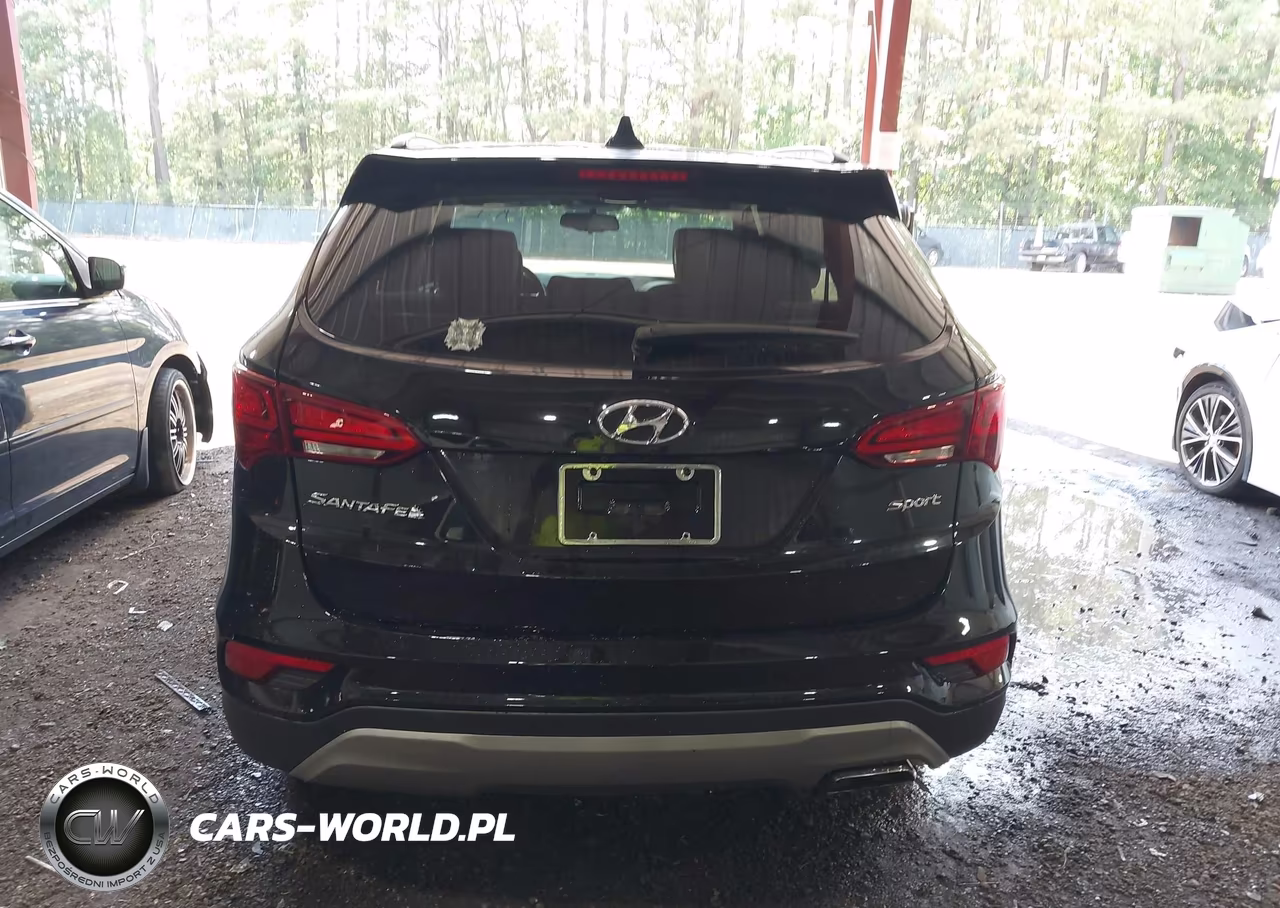 2017 Hyundai Santa Fe Sport 2.4L VIN:5XYZU3LB0HG427307 - 17